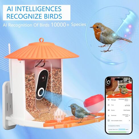 وحدة تغذية الطيور الذكية مع الكاميرا، وحدة تغذية الطيور الطنانة للفيديو اللاسلكي بدقة 1080 بكسل عالية الدقة في الهواء الطلق تعمل بالطاقة الشمسية، كاميرا AI التقاط تلقائي وتحديد أنواع الطيور، التحكم في تطبيق واي فاي 2.4 جيجا، هدايا مثالية لمحبي الطيور in Kuwait