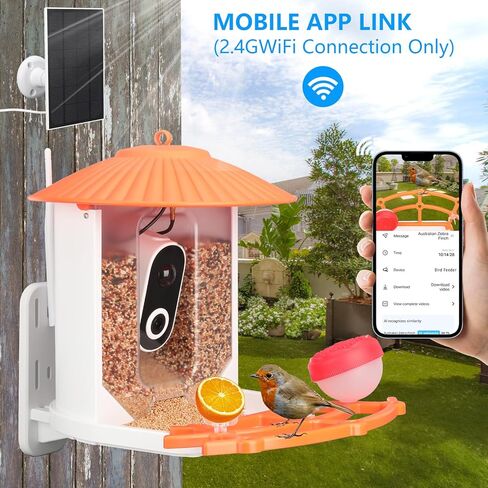 وحدة تغذية الطيور الذكية مع الكاميرا، وحدة تغذية الطيور الطنانة للفيديو اللاسلكي بدقة 1080 بكسل عالية الدقة في الهواء الطلق تعمل بالطاقة الشمسية، كاميرا AI التقاط تلقائي وتحديد أنواع الطيور، التحكم في تطبيق واي فاي 2.4 جيجا، هدايا مثالية لمحبي الطيور in Kuwait