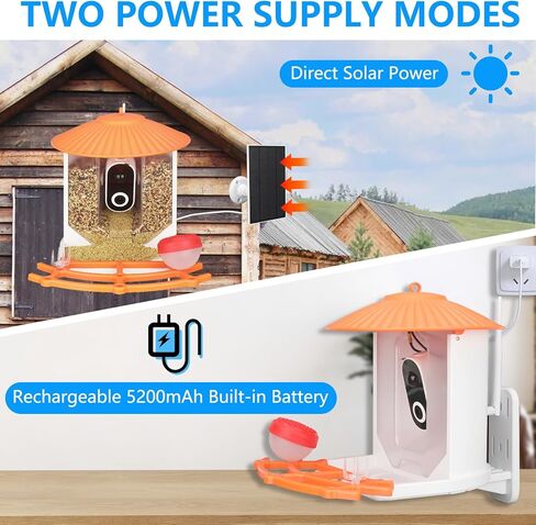 وحدة تغذية الطيور الذكية مع الكاميرا، وحدة تغذية الطيور الطنانة للفيديو اللاسلكي بدقة 1080 بكسل عالية الدقة في الهواء الطلق تعمل بالطاقة الشمسية، كاميرا AI التقاط تلقائي وتحديد أنواع الطيور، التحكم في تطبيق واي فاي 2.4 جيجا، هدايا مثالية لمحبي الطيور in Kuwait