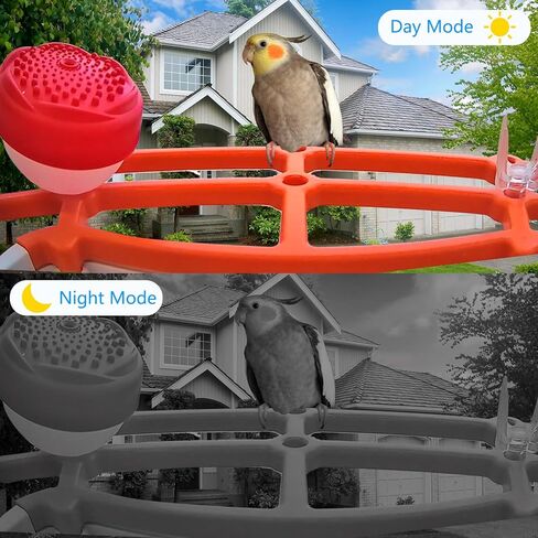 وحدة تغذية الطيور الذكية مع الكاميرا، وحدة تغذية الطيور الطنانة للفيديو اللاسلكي بدقة 1080 بكسل عالية الدقة في الهواء الطلق تعمل بالطاقة الشمسية، كاميرا AI التقاط تلقائي وتحديد أنواع الطيور، التحكم في تطبيق واي فاي 2.4 جيجا، هدايا مثالية لمحبي الطيور in Kuwait