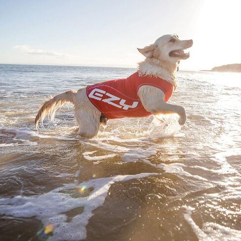 EzyDog Rashguard, X-Small, Red in Kuwait