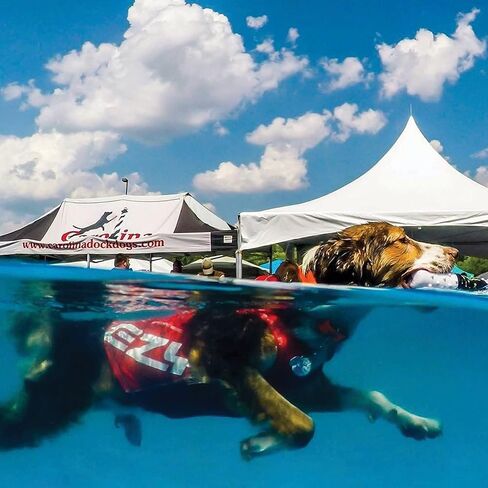 EzyDog Rashguard, X-Small, Red in Kuwait