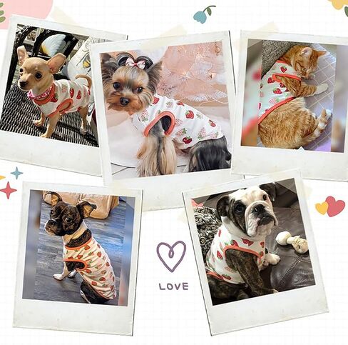 4 قطع من قمصان الكلاب للكلاب الصغيرة والقطط، قمصان قطنية مطبوعة برسوم كارتونية بدون أكمام، ملابس تشيهواهوا يوركي، ملابس شيه تزو للكلاب، دوجي هريرة، مقاس XL in Kuwait