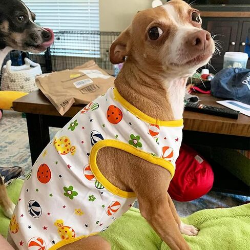 4 قطع من قمصان الكلاب للكلاب الصغيرة والقطط، قمصان قطنية مطبوعة برسوم كارتونية بدون أكمام، ملابس تشيهواهوا يوركي، ملابس شيه تزو للكلاب، دوجي هريرة، مقاس XL in Kuwait