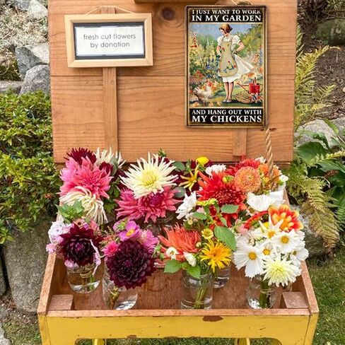Chicken Signs For Coop Funny Garden Metal Tin Sign Vintage Chicken Sign Decor Farm Signs Outdoor Metal Gardening Girl Poster Tin Sign I Just Want To Work In My Garden And Hang Out With My Chickens in Kuwait