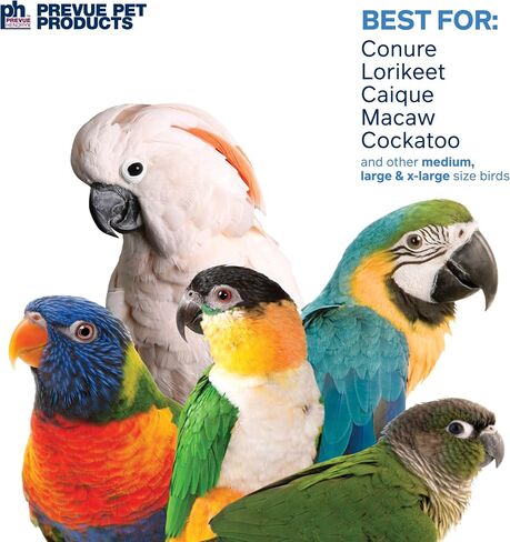 Prevue Pet Products 60062671: Jellyfish Bird Toy in Saudi Arabia