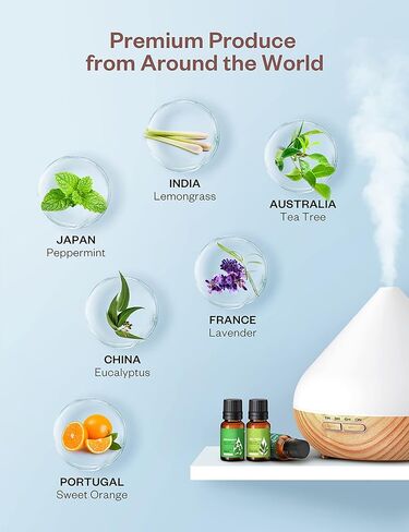 مجموعة الزيوت العطرية 100 مجموعة هدايا من 6 زيوت عطرية طبيعية نقية، 6/10 مل (رائحة اللافندر المريحة)، درجة علاجية مناسبة للناشر والمرطب والتدليك والعناية بالبشرة والشعر in Saudi Arabia