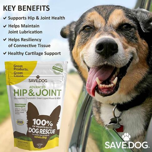 SAVE.DOG مكمل الورك والمفاصل القابل للمضغ للكلاب - مع الجلوكوزامين لتخفيف آلام المفاصل للكلاب - كوندرويتين MSM وبلح البحر الأخضر للكلاب - مكمل للكلاب مع سبب (60 قطعة مضغ) in Saudi Arabia