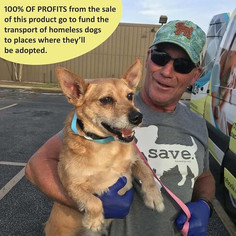 SAVE.DOG مكمل الورك والمفاصل القابل للمضغ للكلاب - مع الجلوكوزامين لتخفيف آلام المفاصل للكلاب - كوندرويتين MSM وبلح البحر الأخضر للكلاب - مكمل للكلاب مع سبب (60 قطعة مضغ) in Saudi Arabia