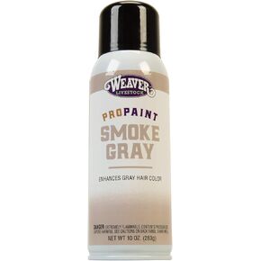 Weaver Leather Pro-Touch Paint