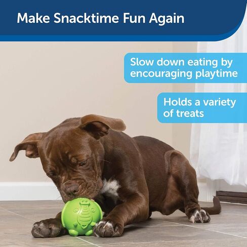 PetSafe Busy Buddy Hippster Dog Chew Toy - Treat Dispenser - Small Medium/Large in Saudi Arabia