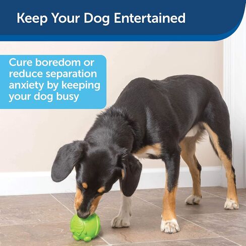 PetSafe Busy Buddy Hippster Dog Chew Toy - Treat Dispenser - Small Medium/Large in Saudi Arabia