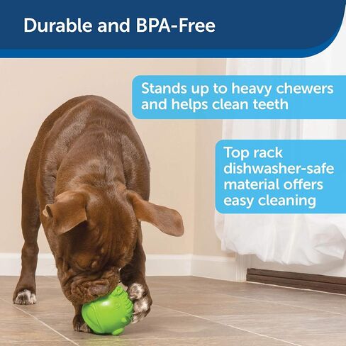 PetSafe Busy Buddy Hippster Dog Chew Toy - Treat Dispenser - Small Medium/Large in Saudi Arabia