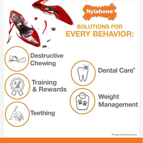 Nylabone Puppy Power Chew Toy - Tough and Durable Puppy Chew Toy for Teething - Puppy Supplies - Beef Broth & Vegetable Flavor, Small (1 Count) in Saudi Arabia