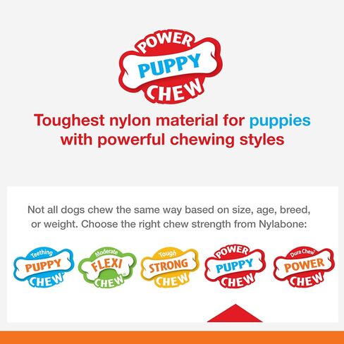 Nylabone Puppy Power Chew Toy - Tough and Durable Puppy Chew Toy for Teething - Puppy Supplies - Beef Broth & Vegetable Flavor, Small (1 Count) in Saudi Arabia