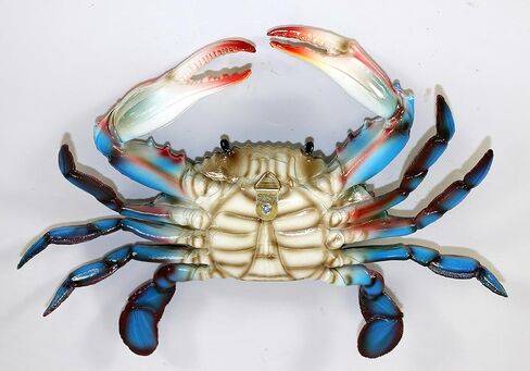 15 سم ماريلاند الأزرق سلطعون شاطئ تيكي بار ديكور الحائط in Kuwait