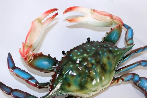 15 سم ماريلاند الأزرق سلطعون شاطئ تيكي بار ديكور الحائط in Kuwait