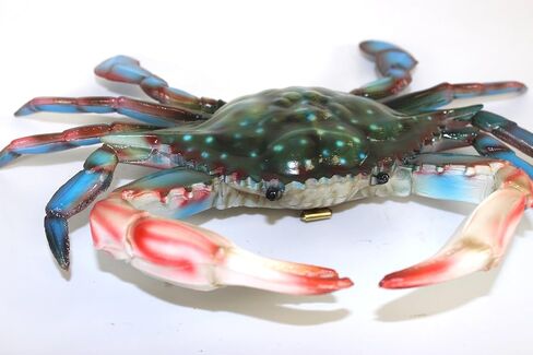 15 سم ماريلاند الأزرق سلطعون شاطئ تيكي بار ديكور الحائط in Kuwait