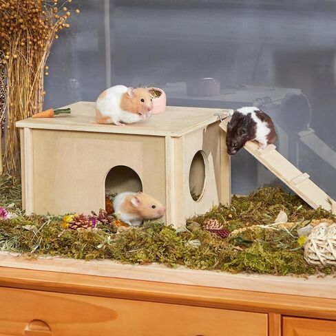 متاهة الهامستر المكونة من 6 غرف من بيتست فيت، بيت هامستر خشبي مع غطاء أكريليك شفاف، ألعاب مخبأ واستكشاف الأنفاق لفئران الهامستر والجربوع in Kuwait
