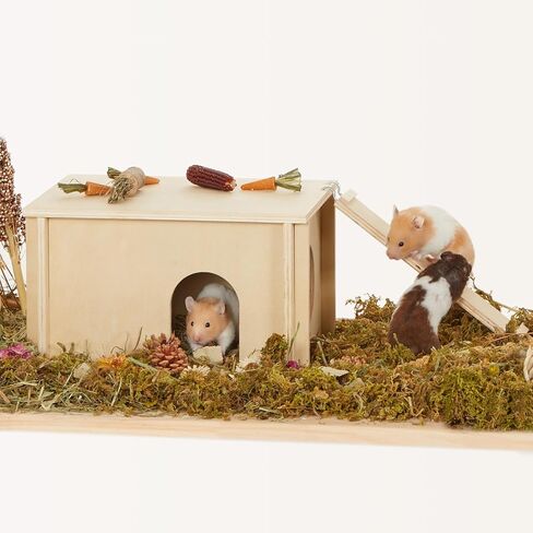 متاهة الهامستر المكونة من 6 غرف من بيتست فيت، بيت هامستر خشبي مع غطاء أكريليك شفاف، ألعاب مخبأ واستكشاف الأنفاق لفئران الهامستر والجربوع in Kuwait