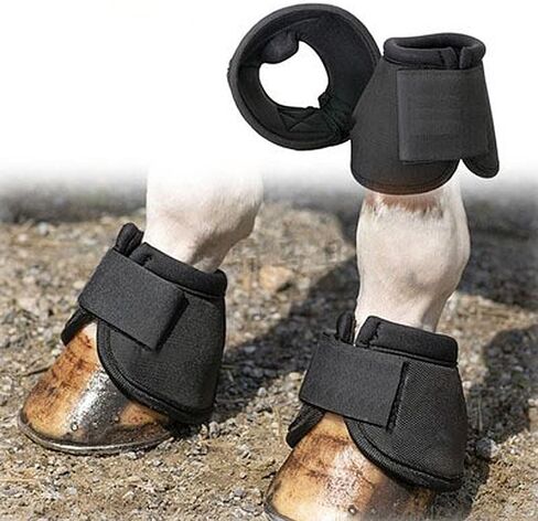 أحذية كالاسونير للعناية بالحصان in Kuwait