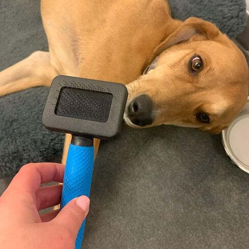 Snuggle Puppy Grooming - Slicker Brush for Dogs - Small - Easy to Use for Grooming, Dematting, and Removing Loose Hair from Pets in Kuwait