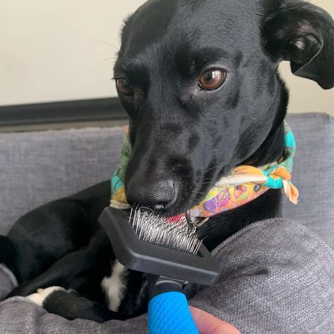 Snuggle Puppy Grooming - Slicker Brush for Dogs - Small - Easy to Use for Grooming, Dematting, and Removing Loose Hair from Pets in Kuwait