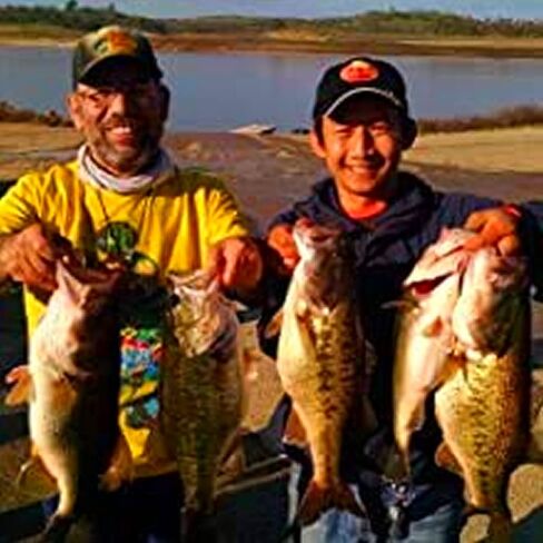 طعم صيد السمك الدخيل متعدد المفاصل بطول 6.5 سم، طعم صلب وبطيء وسريع الغرق مثل جيزارد شاد البلوغيل العائمة والغرق البطيء in Kuwait