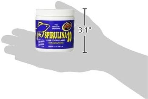 Zoo Med Laboratories AZMAFS1 Aquatrol Spirulina 20 Flake, 1-Ounce in Saudi Arabia
