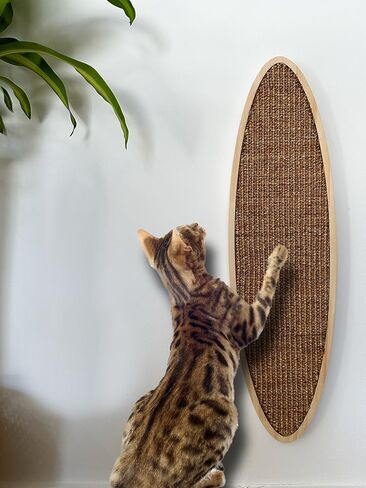 Wooden cat Scratching Post, Natural Wood and sisal Scratching Post, for Large Medium and Small Cats, Wall-Mounted Designer Scratching Post with Toy, Protect Furniture and Walls from Claws in Saudi Arabia