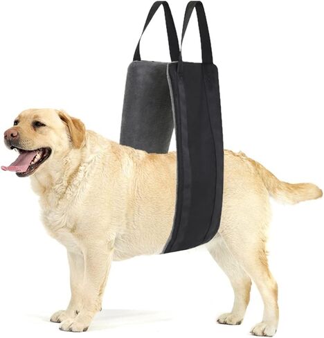 LexRory Dog Sling for Back Legs, Comfortable Dog Lift Hind Leg Support to Help Large Dogs Climbing Stairs, Dogs Harness Assisted Rehabilitation for Injured or Elderly Dogs in Kuwait