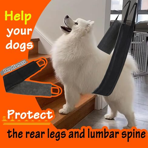 LexRory Dog Sling for Back Legs, Comfortable Dog Lift Hind Leg Support to Help Large Dogs Climbing Stairs, Dogs Harness Assisted Rehabilitation for Injured or Elderly Dogs in Kuwait