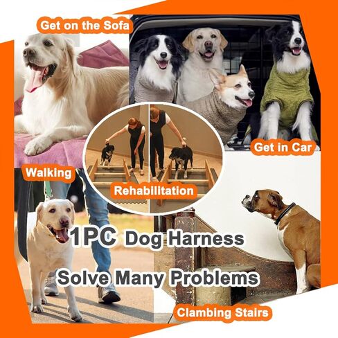 LexRory Dog Sling for Back Legs, Comfortable Dog Lift Hind Leg Support to Help Large Dogs Climbing Stairs, Dogs Harness Assisted Rehabilitation for Injured or Elderly Dogs in Kuwait