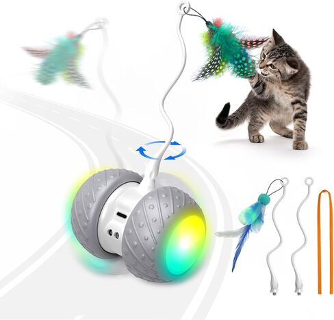 ألعاب القطط التفاعلية القابلة لإعادة الشحن من بينتوبال مع مؤقت تلقائي، سرعة دوران سريعة وبطيئة على السجاد in Kuwait