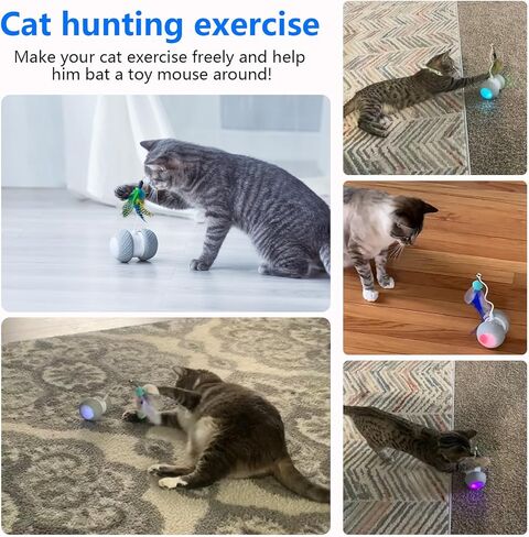 ألعاب القطط التفاعلية القابلة لإعادة الشحن من بينتوبال مع مؤقت تلقائي، سرعة دوران سريعة وبطيئة على السجاد in Kuwait