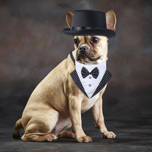 Yewong 2 Pieces Pet Formal Accessories Set - Pet Top Hat with Formal Pet Tuxedo Bandana Collar Birthday Party Gradation Halloween Costumes Accessories for Dog Cat (Set-B) One Size in Saudi Arabia