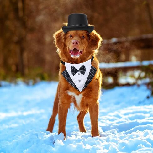 Yewong 2 Pieces Pet Formal Accessories Set - Pet Top Hat with Formal Pet Tuxedo Bandana Collar Birthday Party Gradation Halloween Costumes Accessories for Dog Cat (Set-B) One Size in Saudi Arabia