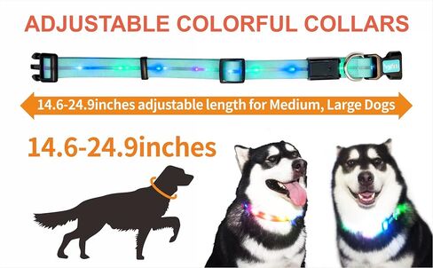 Light up Dog Collars, LED Dog Collar Light, USB Rechargeable Bright Flashing Dog Collar with Waterproof, Lighted Safety Collar for Walking at Night for Small Medium Large Dogs (Blue) in Saudi Arabia