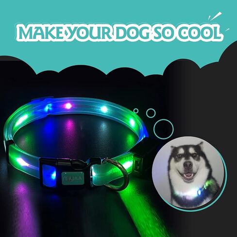 Light up Dog Collars, LED Dog Collar Light, USB Rechargeable Bright Flashing Dog Collar with Waterproof, Lighted Safety Collar for Walking at Night for Small Medium Large Dogs (Blue) in Saudi Arabia
