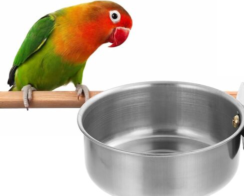 أوعية الطيور POPETPOP - قطعتان من أكواب تغذية قفص الطيور من الفولاذ المقاوم للصدأ أوعية طعام الطيور الطيور تغذية المياه قفص الطيور أطباق الطيور لكوكاتيل الببغاء الببغاء in Saudi Arabia