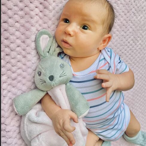 الفيل محبوب الفيل بطانية الأمن Loveys للطفل الفتيات معلم هدية مجموعة مربع هدية مولود جديد الوليد الوردي لعبة بطانيات أمان الطفل للفتيات تخصيص in Kuwait