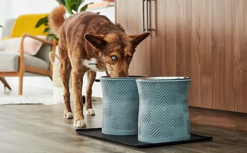 Santa Fe Single Elevated Pet Bowl for Dry Food or Water with Stainless Steel Washable and Removable 16oz Inner Bowl (Small, Coral Pink) in Saudi Arabia