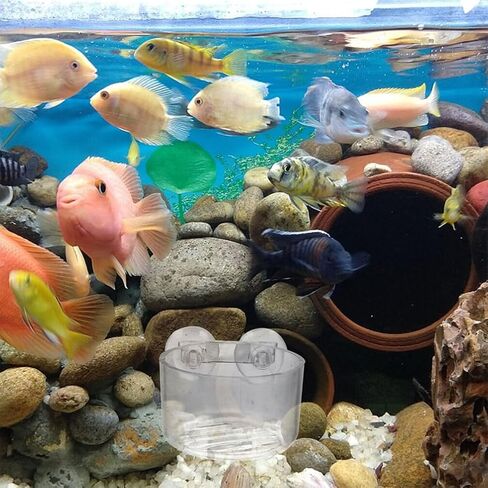 10 قطع من نباتات حوض السمك من ULTECHNOVO، وعاء نباتات مائية من الأكريليك، وعاء شفط لخزان الأسماك، وعاء نباتي لتزيين حوض السمك مع فتحة لحوض السمك والروبيان والنباتات الحية in Kuwait