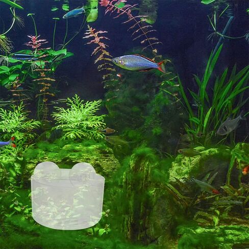 10 قطع من نباتات حوض السمك من ULTECHNOVO، وعاء نباتات مائية من الأكريليك، وعاء شفط لخزان الأسماك، وعاء نباتي لتزيين حوض السمك مع فتحة لحوض السمك والروبيان والنباتات الحية in Kuwait