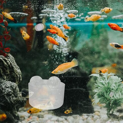 10 قطع من نباتات حوض السمك من ULTECHNOVO، وعاء نباتات مائية من الأكريليك، وعاء شفط لخزان الأسماك، وعاء نباتي لتزيين حوض السمك مع فتحة لحوض السمك والروبيان والنباتات الحية in Kuwait