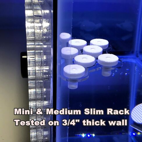 8 Plugs Coral Frag Rack (Set of One) in Kuwait