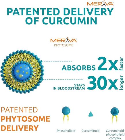 Source Naturals Turmeric With Meriva 500Mg Inc. Caps 30 in Saudi Arabia