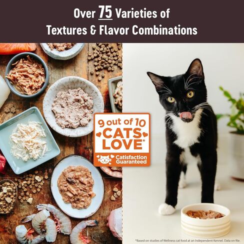 Wellness Core 95% طعام القطط المعلب والرطب والخالي من الحبوب الطبيعية ولحم البقر والدجاج، علبة 5.5 أونصة (عبوة من 12 قطعة) in Kuwait