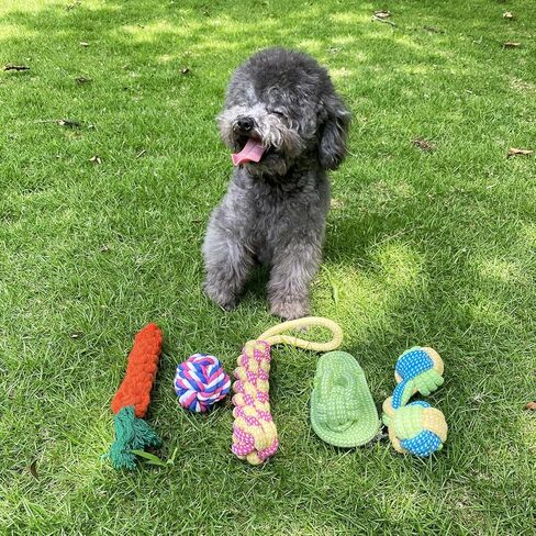 مجموعة ألعاب الكلاب الأليفة متعددة الاستخدامات من أوتكيريج - ألعاب غير قابلة للتدمير لجميع سلالات الكلاب، حبل أسنان عالي التحمل، تفاعلي ومتين، يعزز المضغ وصحة الأسنان in Kuwait