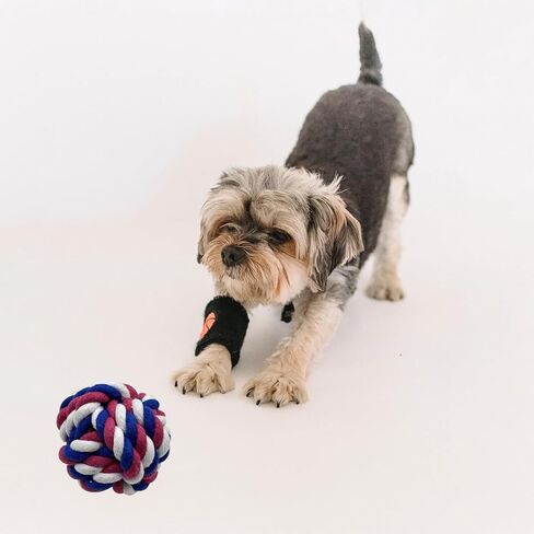 مجموعة ألعاب الكلاب الأليفة متعددة الاستخدامات من أوتكيريج - ألعاب غير قابلة للتدمير لجميع سلالات الكلاب، حبل أسنان عالي التحمل، تفاعلي ومتين، يعزز المضغ وصحة الأسنان in Kuwait